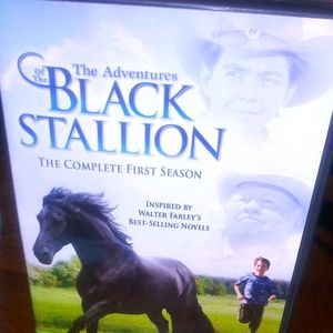 🐎The Adventures of the Black Stallion Season 1 🐎
